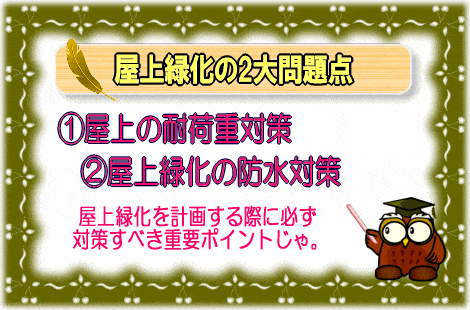 屋上緑化の2大問題点【画像】